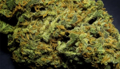 stuffyoushouldknow-podcasts-wp-content-uploads-sites-16-2014-05-h-marijuana-w-600x350